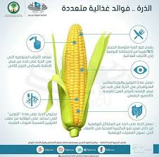 فوائد الذرة الغذائية Corn Health Vegetables