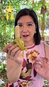 Becuran Sta Rita Pampanga