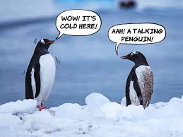 And that now just bc the husband done finally came back doesn't mean she can just leave the man who picked up the pieces in his absence. The Day Penguins Can Talk To Each Other Like People
