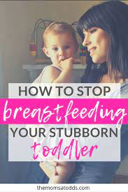 9 Amazingly Simple Tips To Stop Breastfeeding A 1 Year Old