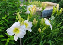 Maybe you would like to learn more about one of these? Make Perfect Scents Designnj