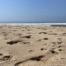 Check spelling or type a new query. Beaches In Bridgehampton Yelp