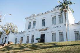 Find hotels near butantan institute, brazil online. Butantan Institut Sao Kostenloses Foto Auf Pixabay