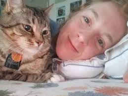 Feline behavioral expert or knowledgeable advice needed