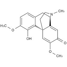 Image result for Antizoma angustifolia