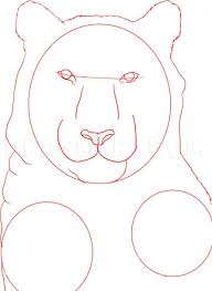 How do you draw a baby tiger? How To Draw A White Tiger Step By Step Drawing Guide By Dawn Dragoart Com