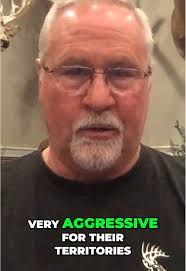 Doug Mckenzie Deer Target 3d