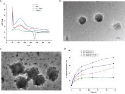 Frontiers | Hyaluronidase and pH Dual-Responsive Nanoparticles for Targeted  Breast Cancer Stem Cells