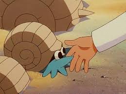 Pokemon Bird With Big Mouth Community Post 16 Questions We All Have For Professor Oak Pokemon Anime All Pokemon