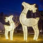 Animal Shaped Christmas Lights - Brighten Your Holidays