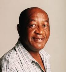 SANEF Team, Author at SANEF