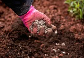 Check spelling or type a new query. 3 Effective Ways To Amend Clay Soil Without Tilling My Backyard Life