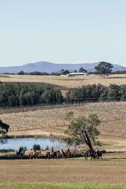 These versatile totes can even fit reusable water bottles as well! Murchessons Equine Wine Dine Pokolbin Hunter Valley Hunterhunter