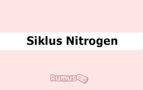 Gambarkan skema daur air lengkap. Siklus Nitrogen Pengertian Bentuk Bentuk Dan Prosesnya