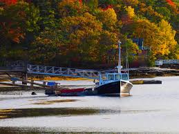 on love in the time of (potential) cholera