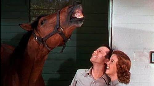 The Story of Seabiscuit (1949) - IMDb