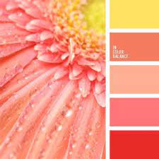Connexion Color Balance Color Schemes Color Palette