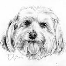 How to draw dogs | 30 tutorials. How To Draw A Dog S Tongue How To Draw Pets Drawing Dogs Online Art Course