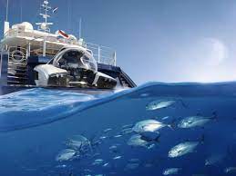 Check spelling or type a new query. U Boat Worx Nemo Dieses Leichte Tauchboot Solltet Ihr Gesehen Haben Netzwelt