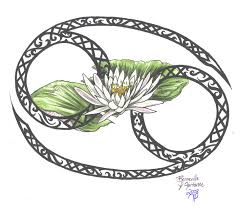 Learn about the meaning of the precious flower for each sign of the sodiac. Zodiac Flower Design Cancer By D Angeline On Deviantart