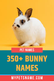 Black And White Bunny Names Boy Bunny Names In 2020 Bunny Names Rabbit Names Pet Bunny
