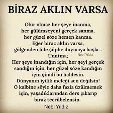 Biraz Aklin Varsa Olur Olmaz Her Seye Inanma Her Gulumseyeni Gercek Sanma Her Guzel Soze Hemen Kanma Eger Bir Ilham Verici Sozler Gercekler Ozlu Sozler