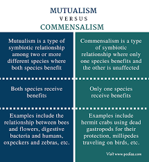 Difference Between Mutualism And Commensalism Definition