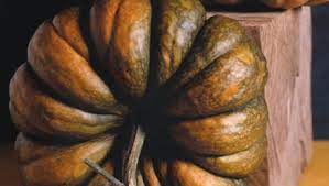 Like all other squash plants, the wait to prune until you identify which vines are growing fruit. The Secrets Of Winter Squash Finegardening