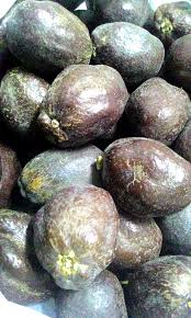 Buah zuriat merupakan panggilan kepada sejenis buah yang nama saintifiknya ialah hyphaene thebaica. Buah Zuriat Redystock Health Beauty Perfumes Nail Care Others On Carousell
