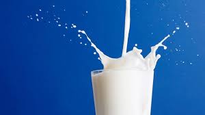 It is made in the mammary glands (breasts, udders, or teats) of female mammals. European Dairy Firm Seeks To Tap Into China Uht Milk Growth With Alibaba Deal