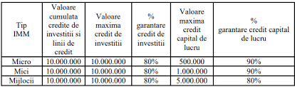 Ajutorul De Stat Pentru Sustinerea Imm Urilor Explicat Printr O Serie De Intrebari Si Raspunsuri