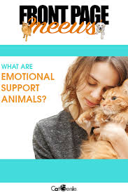 Did You Know That Cats Can Be Registered As A Type Of Therapy Animal Called Emotional Support Animal Emotional Support Animal Support Animal Therapy Animals
