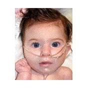 Picinich Family Obituaries