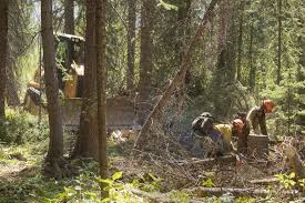 This business is not bbb accredited a+. Good News Aside Williams Fork Fire Remains A Concern Skyhinews Com