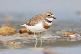 Using plover with vim for captioning. How To Convert Relative Humidity To Absolute Humidity Carnotcycle