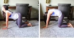 Exercise Substitutes When You Have Diastasis Recti Dr The Fitnessista In 2020 Diastasis Recti Diastasis Cat Cow Exercise