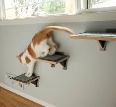 The burnside modern wall mounted cat perch offers the peaceful retreat every cat wishes they had. Hawthorne Cat Climbing Shelf Cat Stairs For Wall Sqaure Cat Habitat