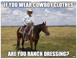 Image Result For Western Reining Jokes And Memes Funny Horses Funny Posters Punny Jokes