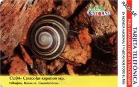 Караколус полосатый, караколус маргинеллус младший синоним: Tillefoankaart Caracolus Sagemon Ssp Etecsa Kuba Snails Col Cu Ur 023