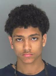 Teen facing charges in vehicle break-ins