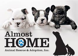Since 1944, north shore animal league america has been saving the lives of defenseless dogs, cats, puppies, and kittens — over 1,000,000 to date. Almost Home Animal Rescue