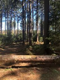 We did not find results for: Exceptional Primitive Camping At Morgan Hill State Forest Camping