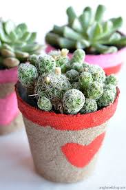 It goes without saying that if you could give your loved ones the world, you would. 13 Lovely Diy Valentine S Day Succulents
