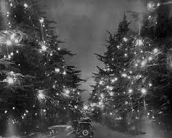 Christmas Tree Lane Hosts The Oldest Holiday Display In The World Vintage Christmas Tree Outdoor Christmas Lights Christmas Tree
