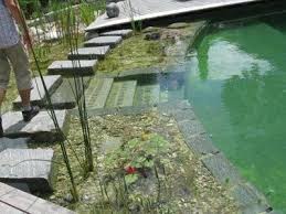 Bionova Natural Swimming Pools Natural Swimming Pools Natural Swimming Ponds Natural Pool