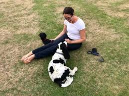Voici 100 suggestions qui devraient vous inspirer. How To House Sit With Your Own Pets Blog Nomador