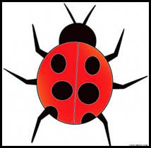 Learn to draw miraculous ladybug. How To Draw Cartoon Ladybugs Realistic Ladybugs Drawing Tutorials Drawing How To Draw Ladybugs Drawing Lessons Step By Step Techniques For Cartoons Illustrations
