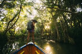 Dominica is the aptly named nature island. Dominica Reisen Reiseinformationen Karibik Eu
