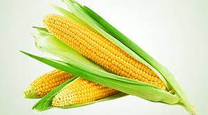 Knowing what to eat if you have high cholesterol is important for maintaining a healthy lifestyle. Corn Health Benefits From Lowering Cholesterol Levels To Boosting Energy Here Are Five Reasons To Have Maize Latestly