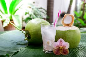 Nasi, lauk pauk, sayuran, buah, dan susu. 4 Kreasi Resep Es Kelapa Muda Segar Untuk Melepas Dahaga